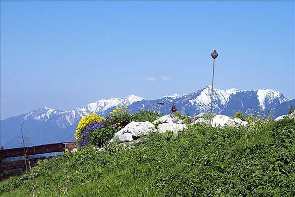 Foto:: Fruehlingsurlaub Kaernten 2008 / Spring vacation Carinthia 2008 (Foto,Fotos,Bilder,Bild,)