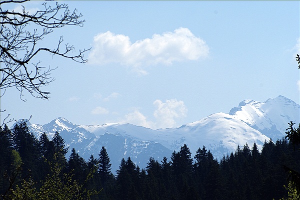 Foto:: Fruehlingsurlaub Kaernten 2008 / Spring vacation Carinthia 2008 (Foto,Fotos,Bilder,Bild,)