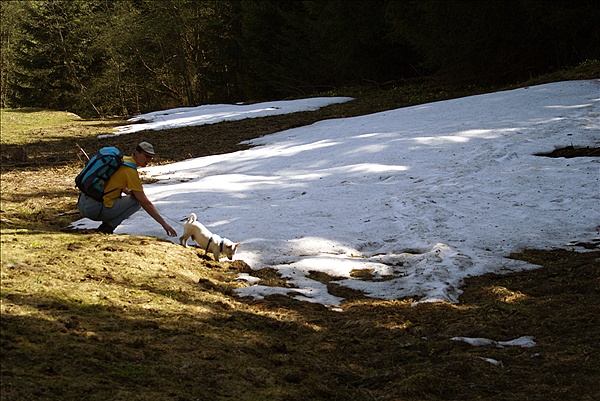 Foto:: Fruehlingsurlaub Kaernten 2008 / Spring vacation Carinthia 2008 (Foto,Fotos,Bilder,Bild,)