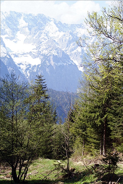 Foto:: Fruehlingsurlaub Kaernten 2008 / Spring vacation Carinthia 2008 (Foto,Fotos,Bilder,Bild,)