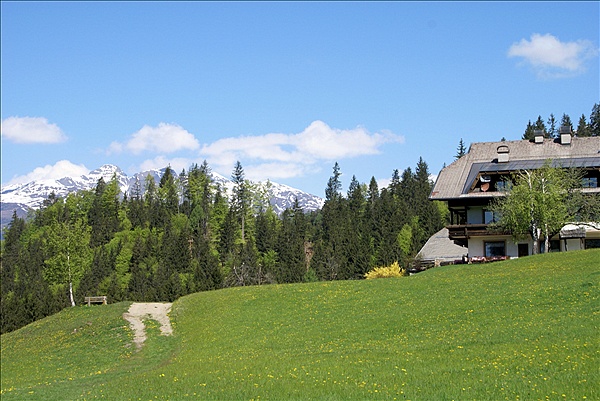 Foto:: Fruehlingsurlaub Kaernten 2008 / Spring vacation Carinthia 2008 (Foto,Fotos,Bilder,Bild,)
