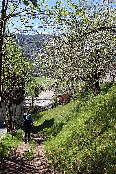 Foto:: Fruehlingsurlaub Kaernten 2008 / Spring vacation Carinthia 2008 (Foto,Fotos,Bilder,Bild,)