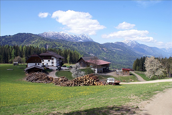 Foto:: Fruehlingsurlaub Kaernten 2008 / Spring vacation Carinthia 2008 (Foto,Fotos,Bilder,Bild,)
