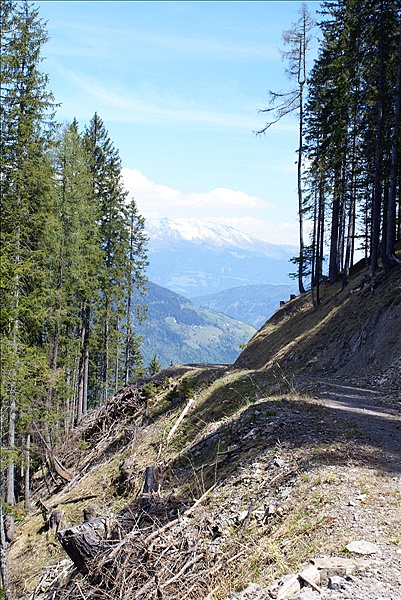 Foto:: Fruehlingsurlaub Kaernten 2008 / Spring vacation Carinthia 2008 (Foto,Fotos,Bilder,Bild,)