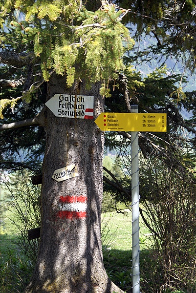 Foto:: Fruehlingsurlaub Kaernten 2008 / Spring vacation Carinthia 2008 (Foto,Fotos,Bilder,Bild,)