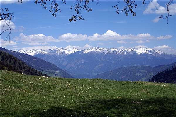 Foto:: Fruehlingsurlaub Kaernten 2008 / Spring vacation Carinthia 2008 (Foto,Fotos,Bilder,Bild,)