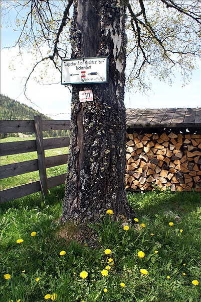 Foto:: Fruehlingsurlaub Kaernten 2008 / Spring vacation Carinthia 2008 (Foto,Fotos,Bilder,Bild,)