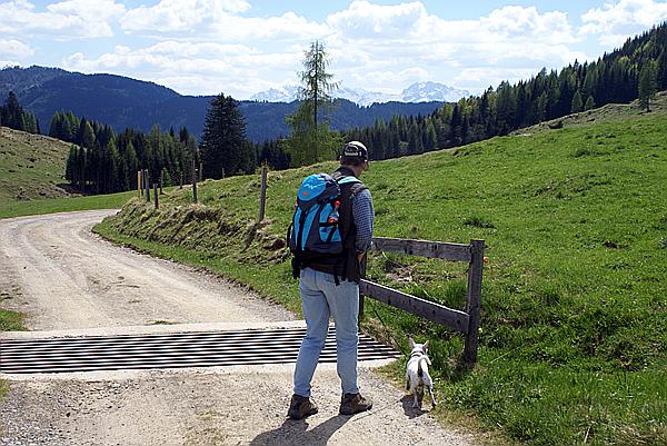 Foto:: Fruehlingsurlaub Kaernten 2008 / Spring vacation Carinthia 2008 (Foto,Fotos,Bilder,Bild,)