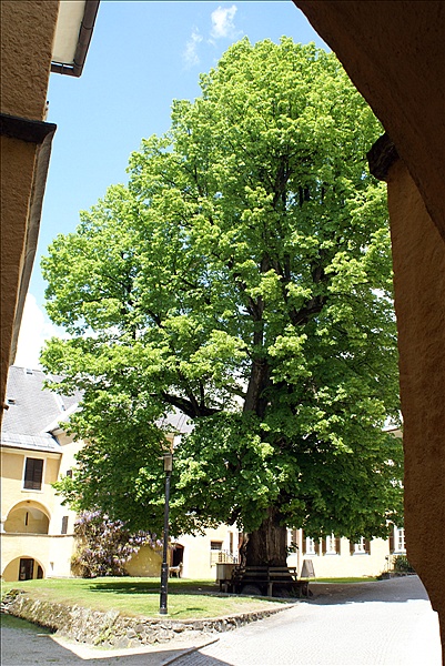 Foto:: Fruehlingsurlaub Kaernten 2008 / Spring vacation Carinthia 2008 (Foto,Fotos,Bilder,Bild,)