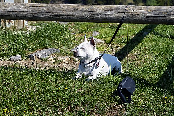 Foto:: Fruehlingsurlaub Kaernten 2008 / Spring vacation Carinthia 2008 (Foto,Fotos,Bilder,Bild,)