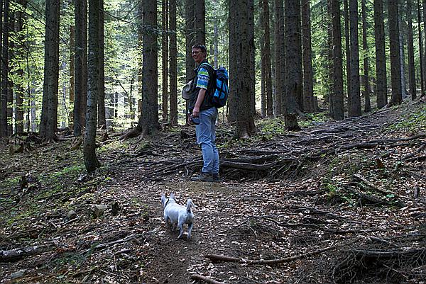 Foto:: Fruehlingsurlaub Kaernten 2008 / Spring vacation Carinthia 2008 (Foto,Fotos,Bilder,Bild,)