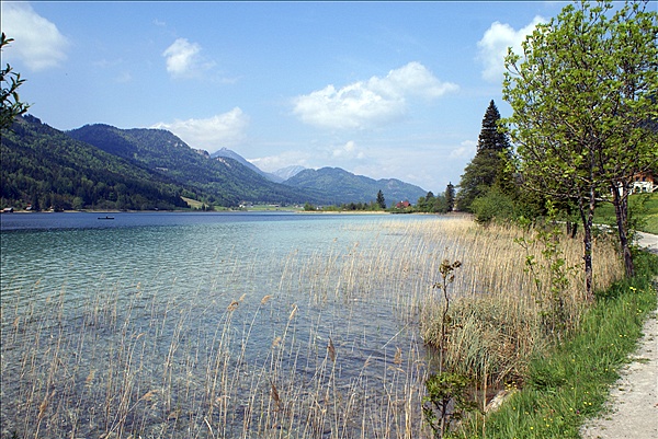 Foto:: Fruehlingsurlaub Kaernten 2008 / Spring vacation Carinthia 2008 (Foto,Fotos,Bilder,Bild,)