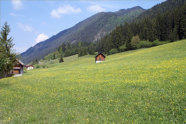 Foto:: Fruehlingsurlaub Kaernten 2008 / Spring vacation Carinthia 2008 (Foto,Fotos,Bilder,Bild,)