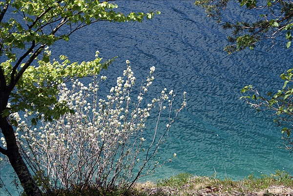 Foto:: Fruehlingsurlaub Kaernten 2008 / Spring vacation Carinthia 2008 (Foto,Fotos,Bilder,Bild,)