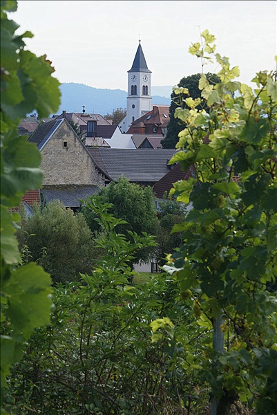 Foto:: Herbsturlaub Schwarzwald / Black Forrest + Elsass / Alsace 21.09.2008 - 26.09.2008 (Foto,Fotos,Bilder,Bild,)