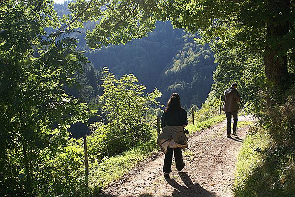 Foto:: Herbsturlaub Schwarzwald / Black Forrest + Elsass / Alsace 21.09.2008 - 26.09.2008 (Foto,Fotos,Bilder,Bild,)