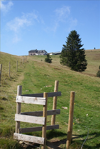 Foto:: Herbsturlaub Schwarzwald / Black Forrest + Elsass / Alsace 21.09.2008 - 26.09.2008 (Foto,Fotos,Bilder,Bild,)