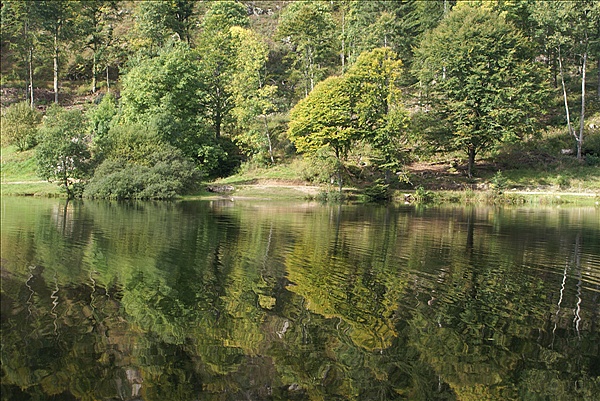 Foto:: Herbsturlaub Schwarzwald / Black Forrest + Elsass / Alsace 21.09.2008 - 26.09.2008 (Foto,Fotos,Bilder,Bild,)