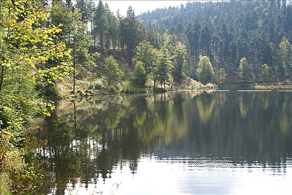 Foto:: Herbsturlaub Schwarzwald / Black Forrest + Elsass / Alsace 21.09.2008 - 26.09.2008 (Foto,Fotos,Bilder,Bild,)