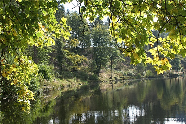 Foto:: Herbsturlaub Schwarzwald / Black Forrest + Elsass / Alsace 21.09.2008 - 26.09.2008 (Foto,Fotos,Bilder,Bild,)
