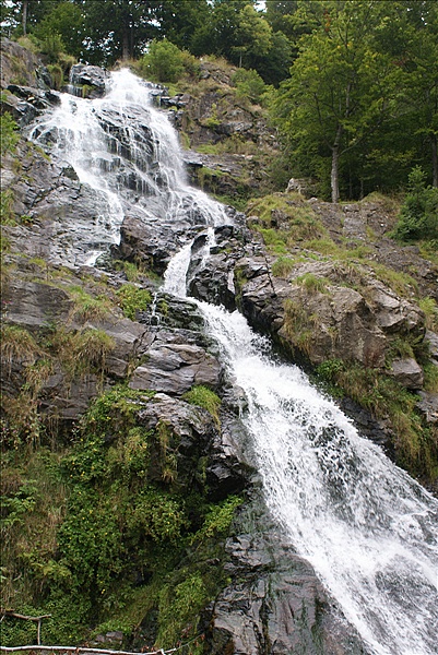 Foto:: Herbsturlaub Schwarzwald / Black Forrest + Elsass / Alsace 21.09.2008 - 26.09.2008 (Foto,Fotos,Bilder,Bild,)