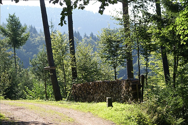 Foto:: Herbsturlaub Schwarzwald / Black Forrest + Elsass / Alsace 21.09.2008 - 26.09.2008 (Foto,Fotos,Bilder,Bild,)