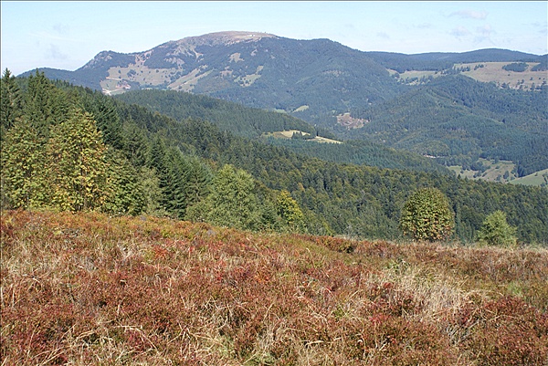 Foto:: Herbsturlaub Schwarzwald / Black Forrest + Elsass / Alsace 21.09.2008 - 26.09.2008 (Foto,Fotos,Bilder,Bild,)