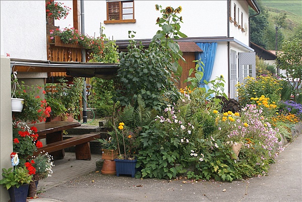 Foto:: Herbsturlaub Schwarzwald / Black Forrest + Elsass / Alsace 21.09.2008 - 26.09.2008 (Foto,Fotos,Bilder,Bild,)