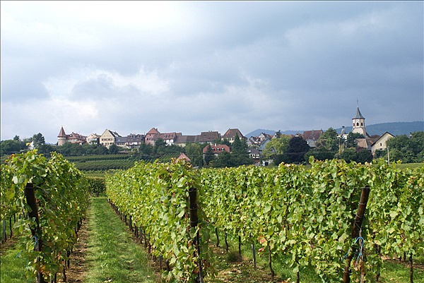 Foto:: Herbsturlaub Schwarzwald / Black Forrest + Elsass / Alsace 21.09.2008 - 26.09.2008 (Foto,Fotos,Bilder,Bild,)