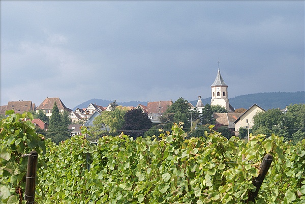 Foto:: Herbsturlaub Schwarzwald / Black Forrest + Elsass / Alsace 21.09.2008 - 26.09.2008 (Foto,Fotos,Bilder,Bild,)