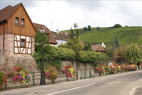 Foto:: Herbsturlaub Schwarzwald / Black Forrest + Elsass / Alsace 21.09.2008 - 26.09.2008 (Foto,Fotos,Bilder,Bild,)
