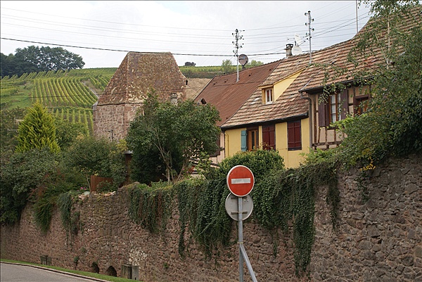 Foto:: Herbsturlaub Schwarzwald / Black Forrest + Elsass / Alsace 21.09.2008 - 26.09.2008 (Foto,Fotos,Bilder,Bild,)