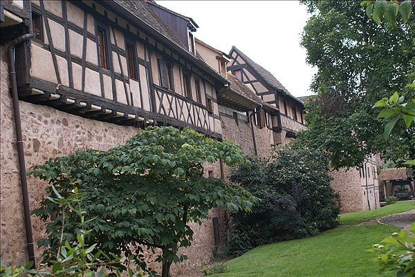 Foto:: Herbsturlaub Schwarzwald / Black Forrest + Elsass / Alsace 21.09.2008 - 26.09.2008 (Foto,Fotos,Bilder,Bild,)