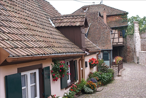 Foto:: Herbsturlaub Schwarzwald / Black Forrest + Elsass / Alsace 21.09.2008 - 26.09.2008 (Foto,Fotos,Bilder,Bild,)