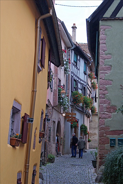 Foto:: Herbsturlaub Schwarzwald / Black Forrest + Elsass / Alsace 21.09.2008 - 26.09.2008 (Foto,Fotos,Bilder,Bild,)