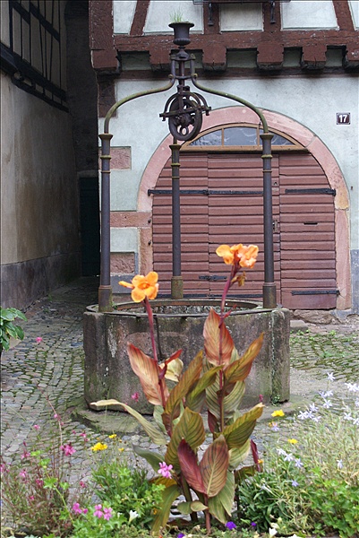 Foto:: Herbsturlaub Schwarzwald / Black Forrest + Elsass / Alsace 21.09.2008 - 26.09.2008 (Foto,Fotos,Bilder,Bild,)