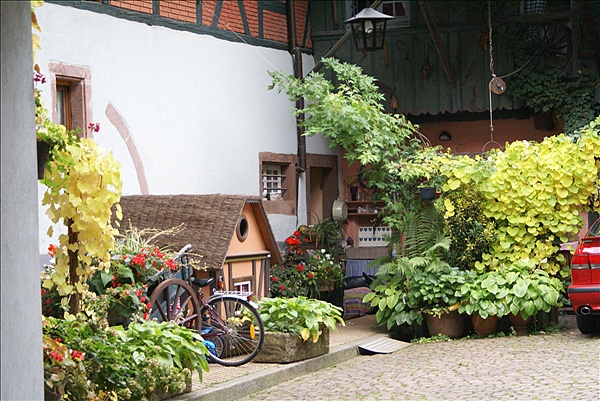 Foto:: Herbsturlaub Schwarzwald / Black Forrest + Elsass / Alsace 21.09.2008 - 26.09.2008 (Foto,Fotos,Bilder,Bild,)