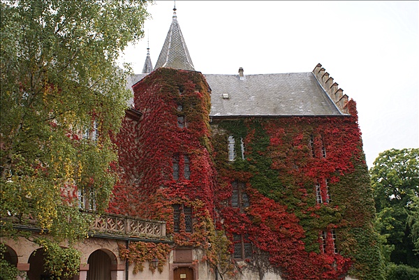 Foto:: Herbsturlaub Schwarzwald / Black Forrest + Elsass / Alsace 21.09.2008 - 26.09.2008 (Foto,Fotos,Bilder,Bild,)