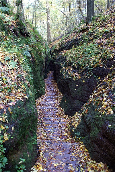Foto:: Eisenach / 18.10.2008 (Foto,Fotos,Bilder,Bild,)