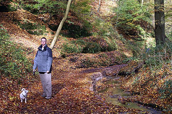 Foto:: Eisenach / 18.10.2008 (Foto,Fotos,Bilder,Bild,)