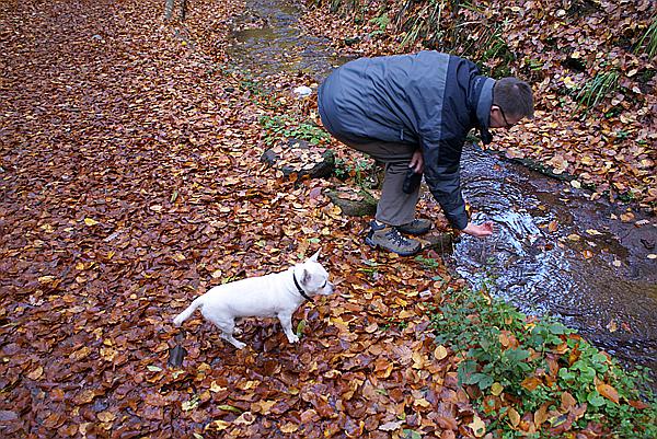Foto:: Eisenach / 18.10.2008 (Foto,Fotos,Bilder,Bild,)