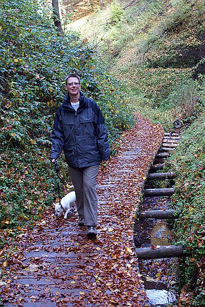 Foto:: Eisenach / 18.10.2008 (Foto,Fotos,Bilder,Bild,)