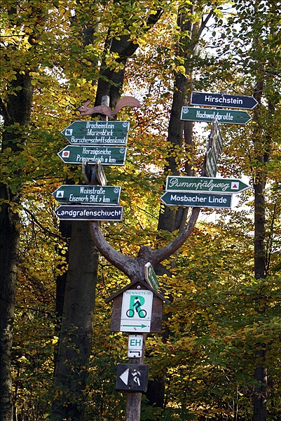 Foto:: Eisenach / 18.10.2008 (Foto,Fotos,Bilder,Bild,)