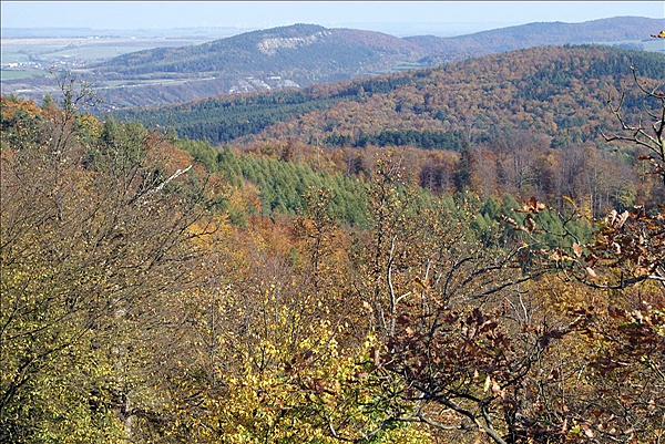 Foto:: Eisenach / 18.10.2008 (Foto,Fotos,Bilder,Bild,)