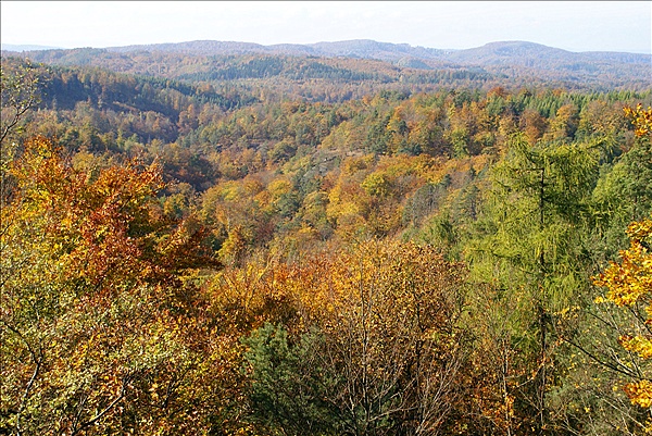 Foto:: Eisenach / 18.10.2008 (Foto,Fotos,Bilder,Bild,)