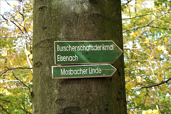 Foto:: Eisenach / 18.10.2008 (Foto,Fotos,Bilder,Bild,)