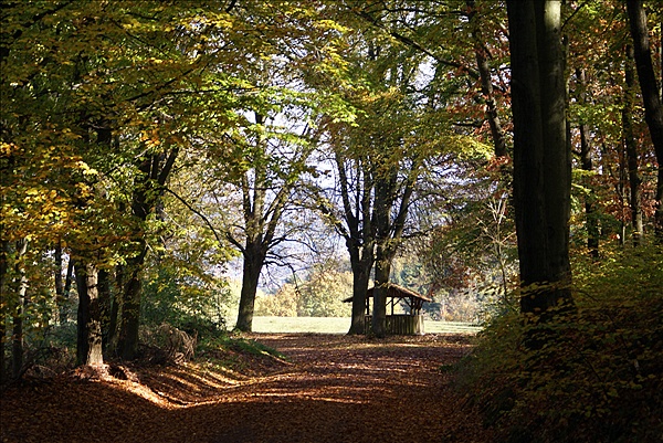 Foto:: Eisenach / 18.10.2008 (Foto,Fotos,Bilder,Bild,)
