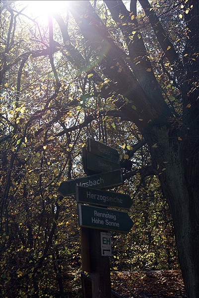 Foto:: Eisenach / 18.10.2008 (Foto,Fotos,Bilder,Bild,)