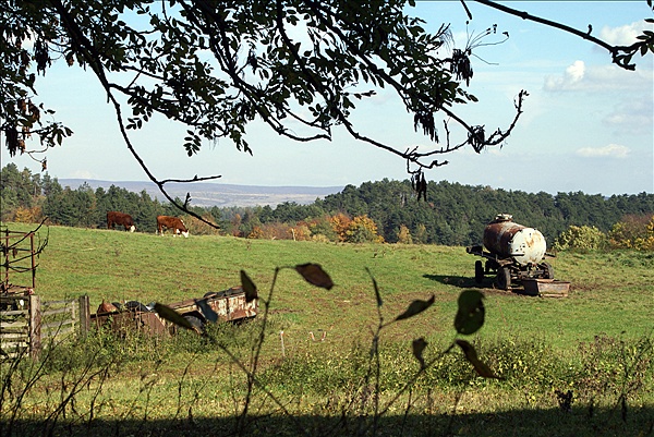 Foto:: Eisenach / 18.10.2008 (Foto,Fotos,Bilder,Bild,)