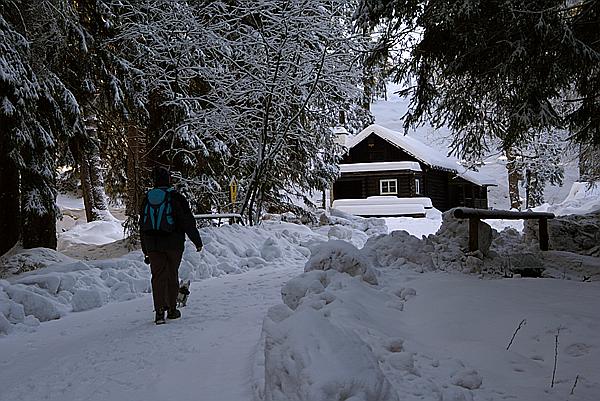 Foto:: Schneewanderung / Sachsengrund / 26.12.2008 (Foto,Fotos,Bilder,Bild,)